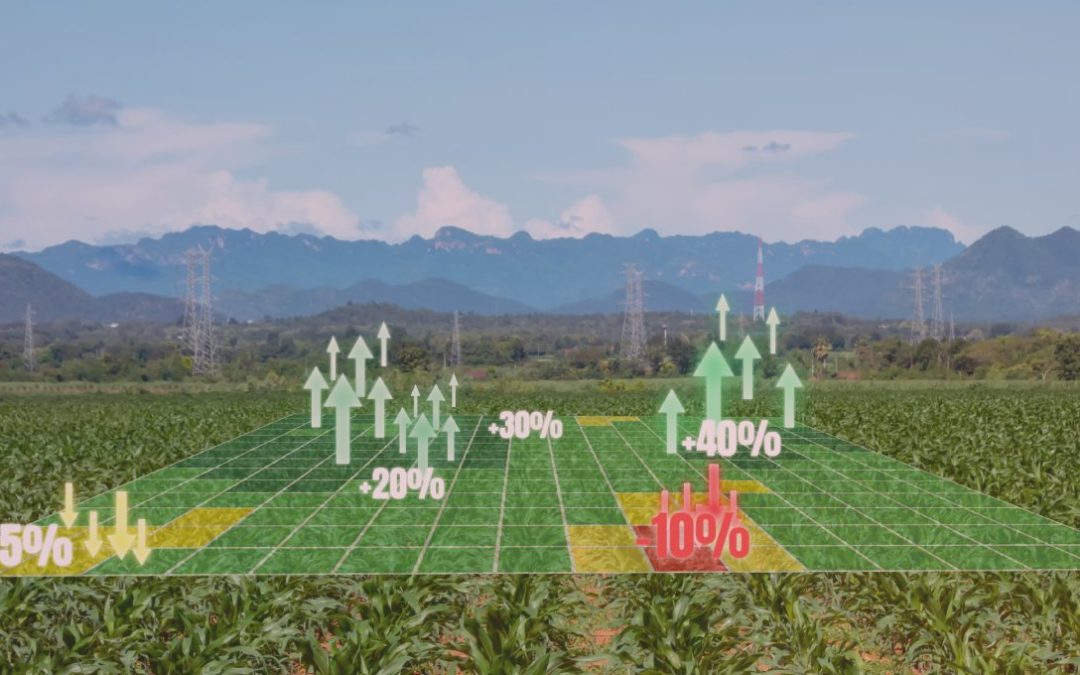 Sub-Acre Weather Forecasting Is The Future For Agriculture