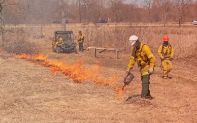 Benefits of Controlled Burns for Agriculture
