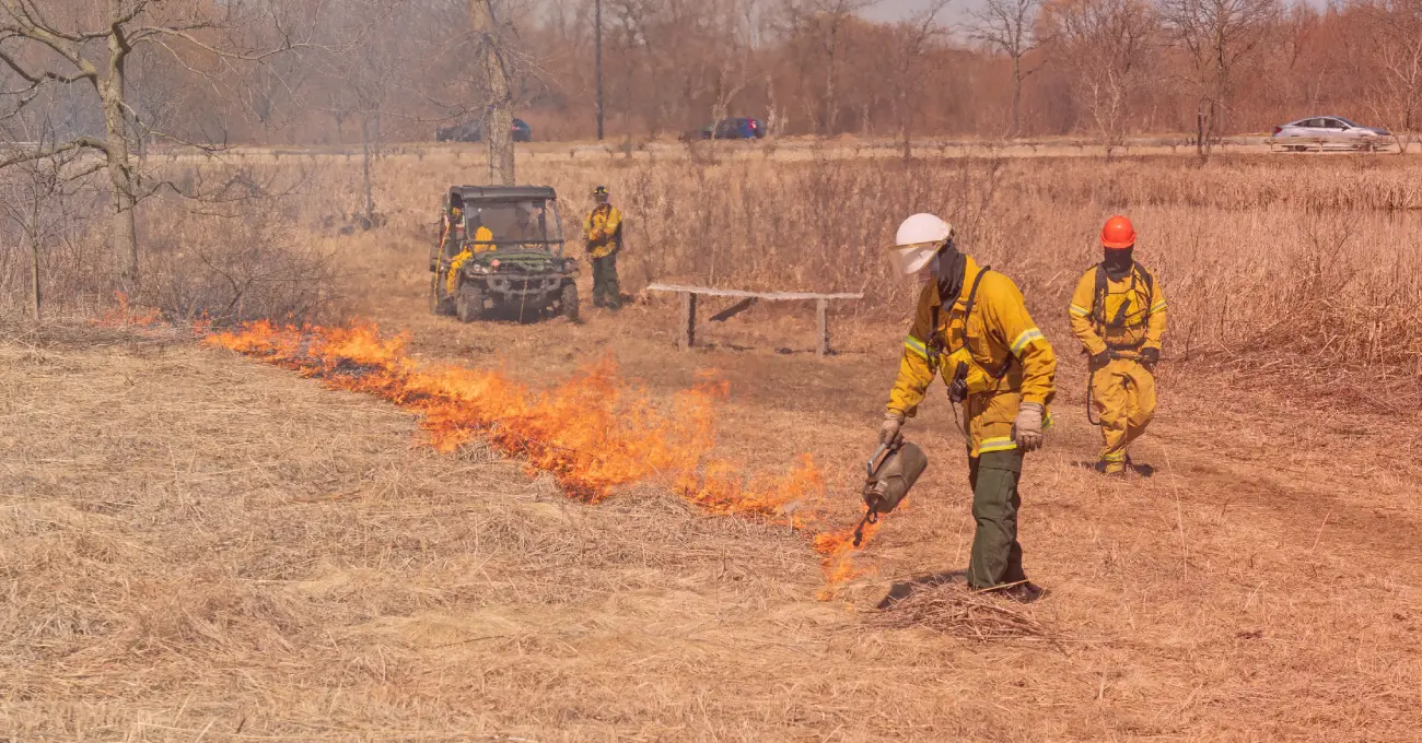Challenges and Benefits of Controlled Burns in Agriculture Featured Image