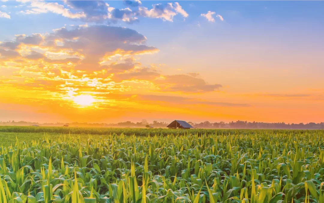 Cloud Cover Forecast Maps Driven By Machine Learning