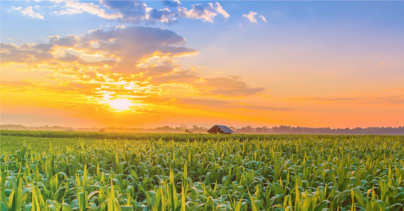 Cloud Cover Forecast Maps Driven By Machine Learning Featured Image