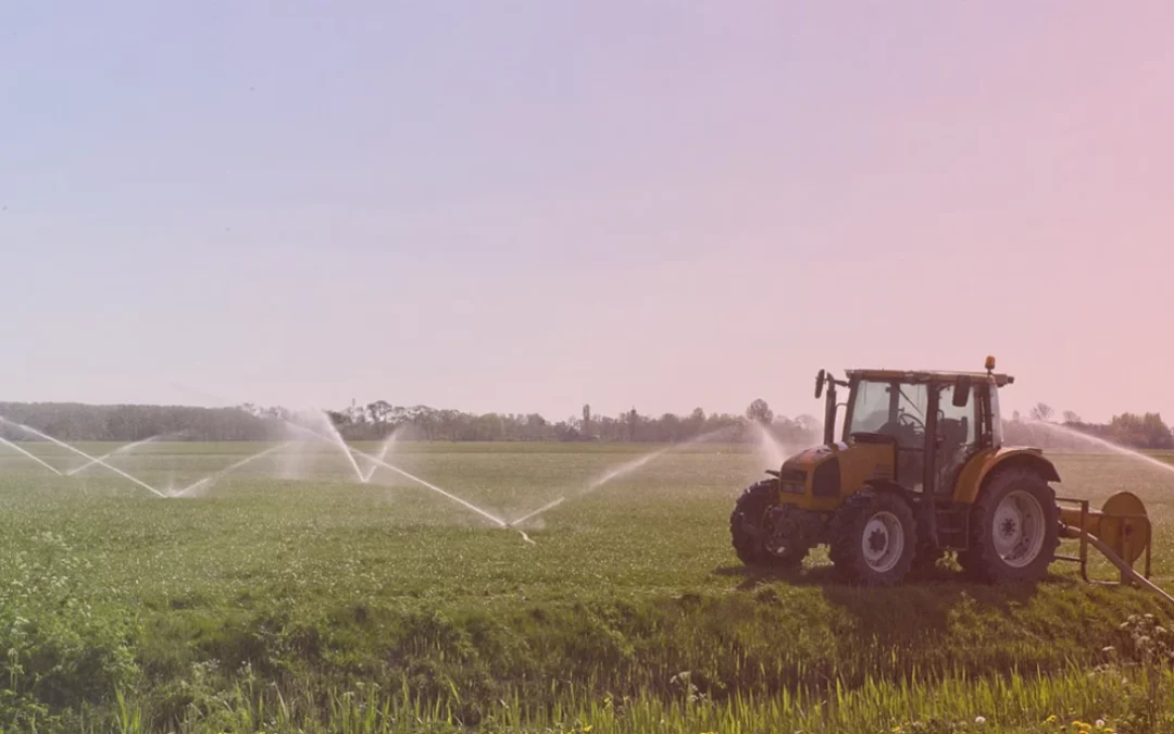 Modern Methods of Water Management in Organic Farming for 2022