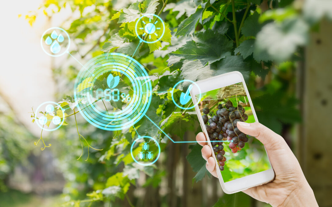 Benchmark Labs featured in Google’s Economic Impact Report